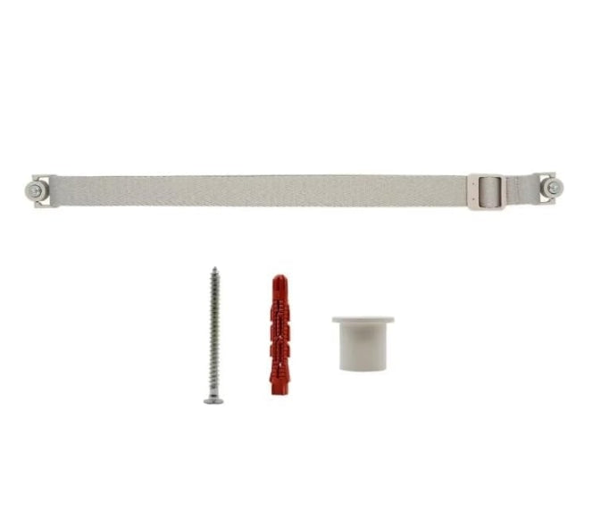 LG StandbyMe 2 Carry Strap & Wall Mount Holder WS25XA