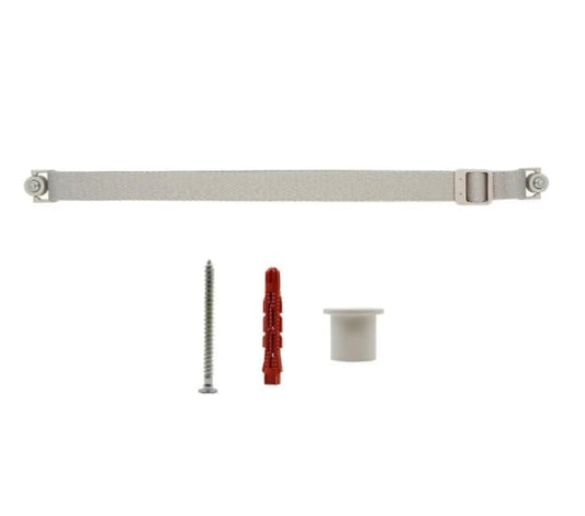 LG StandbyMe 2 Carry Strap & Wall Mount Holder WS25XA